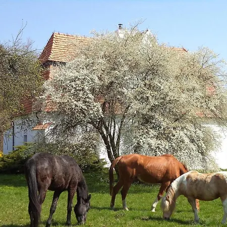 Dwór Jeziory Wielkie