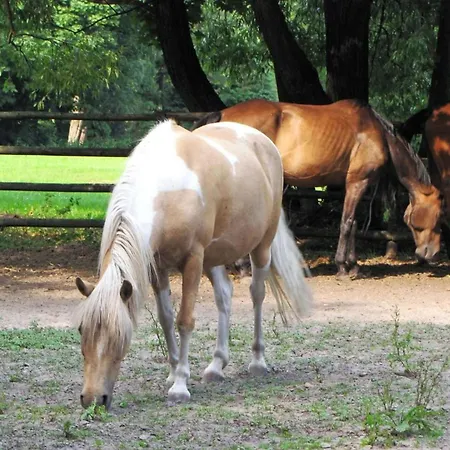 Dwór Сasa de vacaciones Jeziory Wielkie