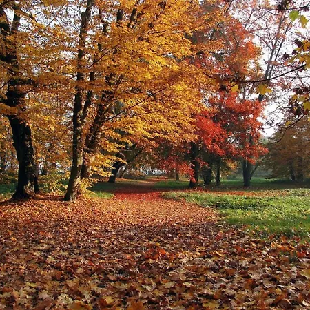 Dwor Holiday home Jeziory Wielkie