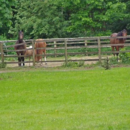 Dwór Jeziory Wielkie