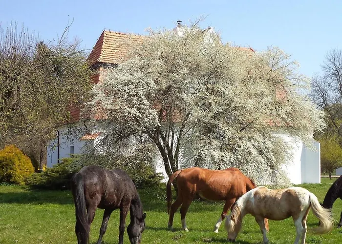 Dwor Jeziory Wielkie