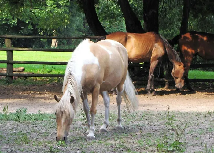 Dwor Nyaraló Jeziory Wielkie