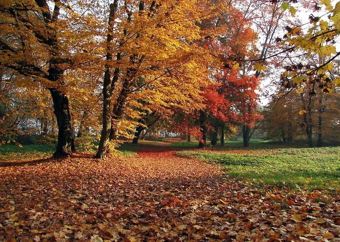 Dwor Nyaraló Jeziory Wielkie