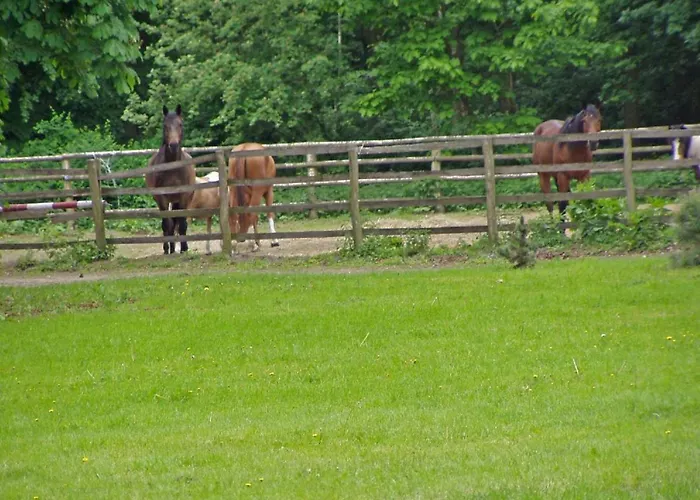 Dwor Jeziory Wielkie